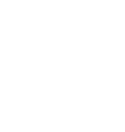 logo light